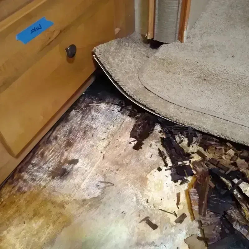 Wood Floor Water Damage in Park Rapids, MN